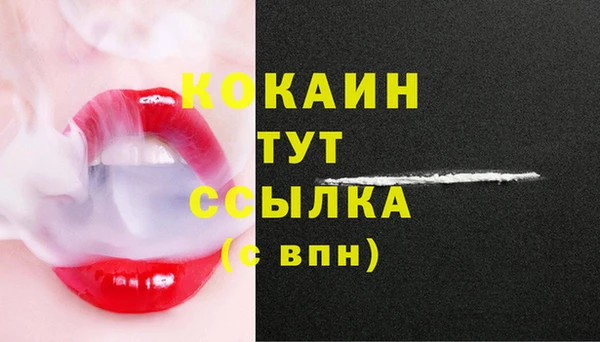 ECSTASY Няндома
