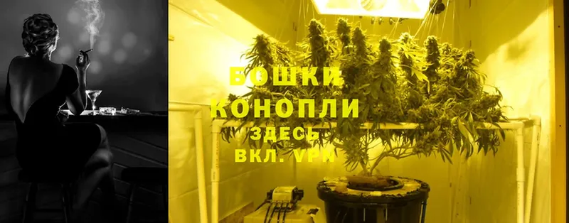 купить наркоту  Ногинск  блэк спрут   Бошки марихуана White Widow 