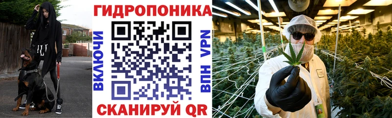 Бошки Шишки OG Kush  Ногинск 